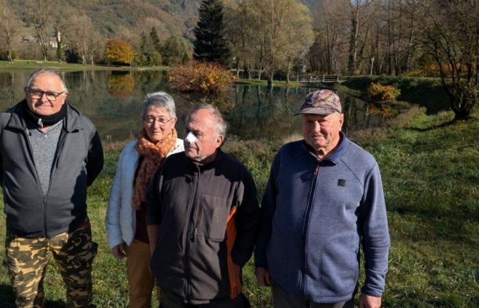 Haute-Savoie: fishermen of the Marlens lake are at war with great cormorants