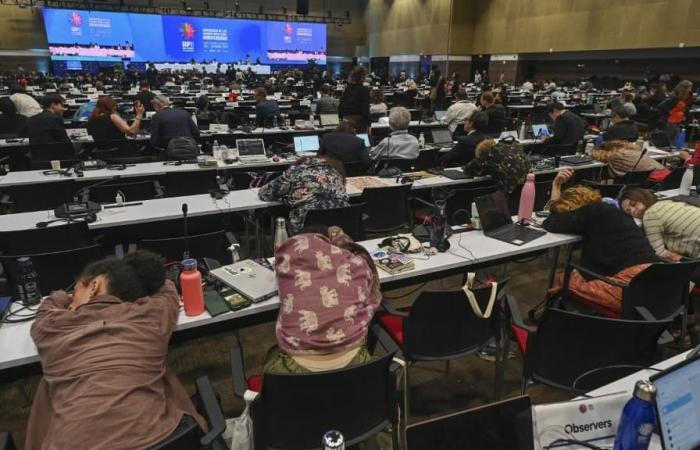 COP16 biodiversity ends in Colombia, after a failure of negotiations on financing