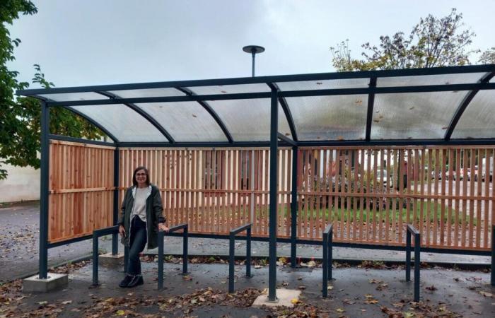 bike shelters are emerging and others will appear