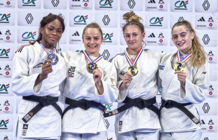 Judo: Astride Gneto vice-champion of France in