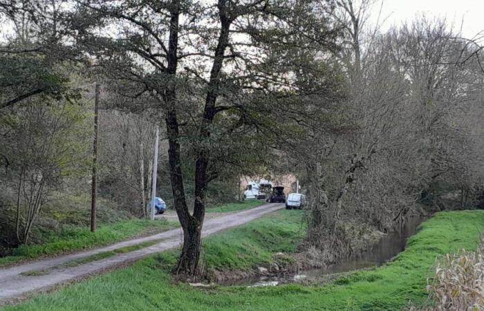 A hunter found dead in Dordogne with an abdominal wound during a wild boar hunt