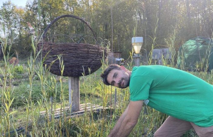 Angoulême: workshops to discover basketry with the Compagnons du végétal