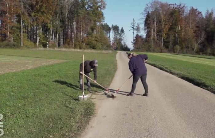 The end of the tradition of municipal chores in Auboranges – rts.ch