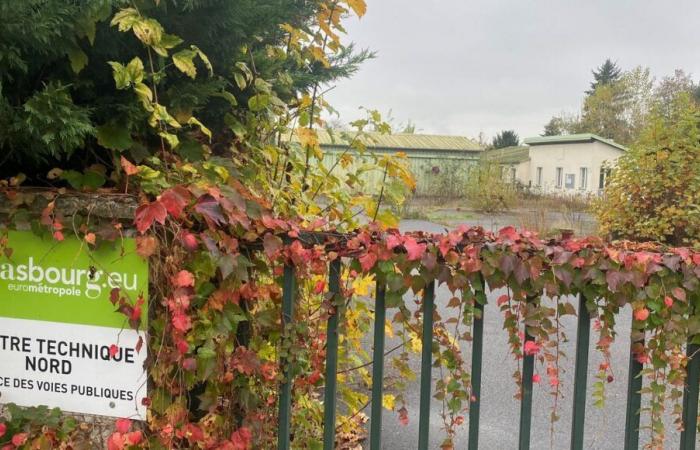 Strasbourg will build tiny houses to accommodate homeless families with children