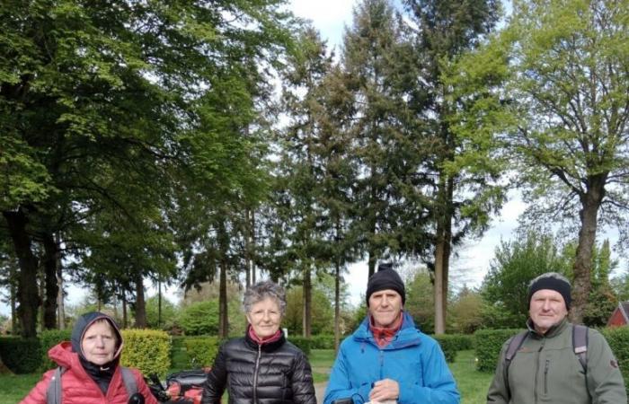 for two and a half months, these four young retirees cycled 3,300 km to Budapest