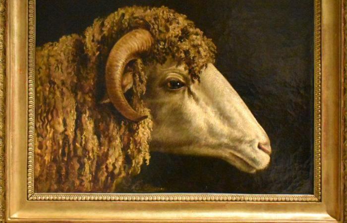 To discover at the Gévaudan museum in Mende: “Study for a ram’s head”, by Horace Vernet