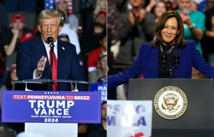 A satirical TV show, a “father of fertilization”: the infernal duel continues between Trump and Harris