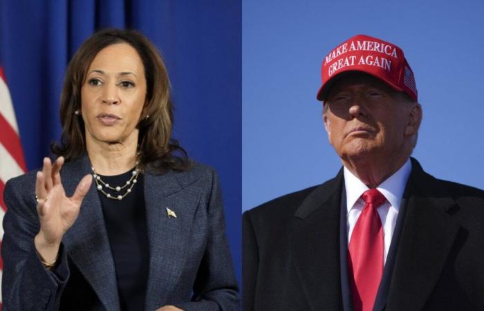 Trump or Harris, what the polls say