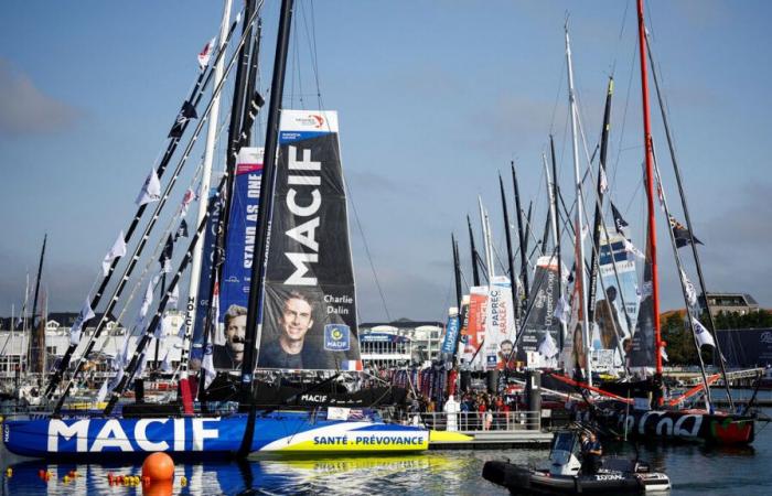 Vendée Globe: up to 3.5 million French people ready to take part in the virtual race