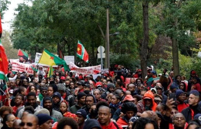 several thousand people from the overseas diaspora demonstrate against the high cost of living