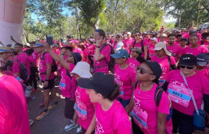 Record mobilization against breast cancer in Reunion this weekend