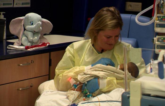 “Without that, they are in danger”: baby cuddlers to the rescue of newborns alone in the hospital