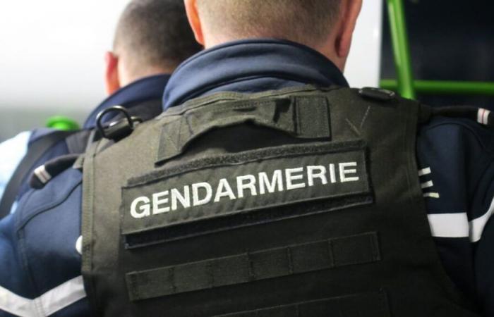 “We had to prevent them from setting up from the start”: in the Oise, the gendarmes disrupt a rave party