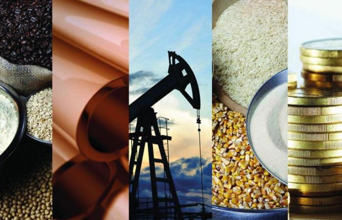 BM – Global commodity trends: Towards falling prices by 2026