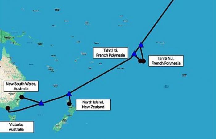 Google cable in Polynesia: details of the authorization request