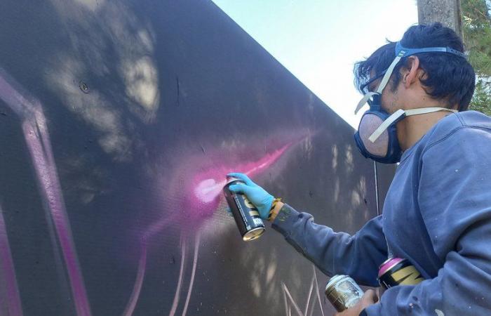 “The world of street art is becoming wider and wider”: in Montauban, Hall 82 is regaining color