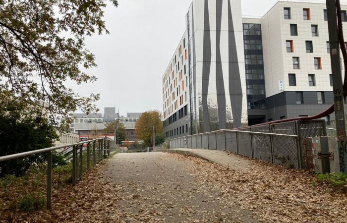 Stabbings in Rennes. “They feel permanently insecure”, frightened residents and police without substantial resources