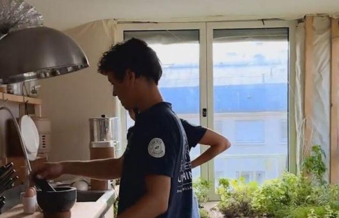 Mushroom shower, compost or “casserole of the future”… Welcome to the demonstration apartment of adaptation to climate change