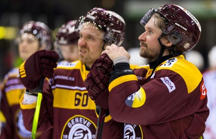 Hockey: The malaise of Genève-Servette summarized in five figures