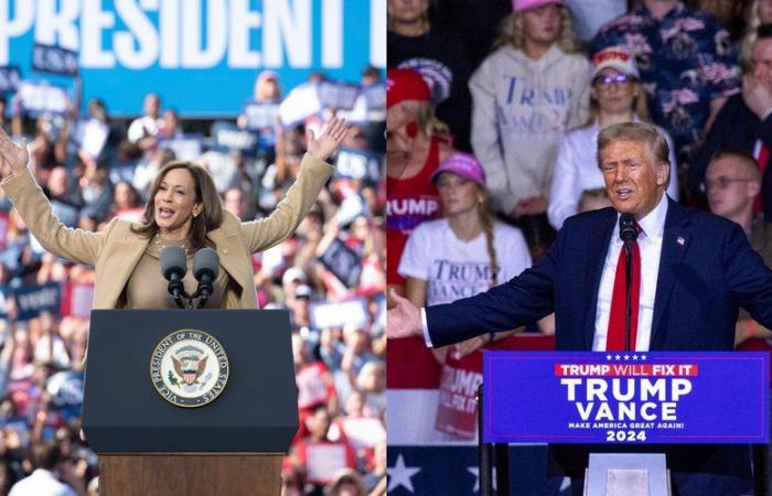 American presidential election: Kamala Harris and Donald Trump in the home stretch of an extraordinary campaign