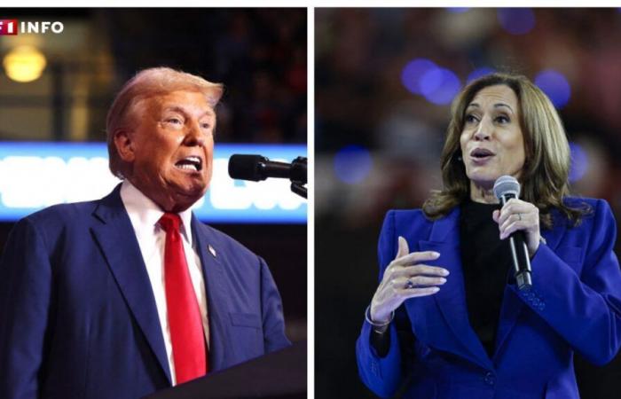 American presidential election: Donald Trump or Kamala Harris, what do the polls say on D-2?