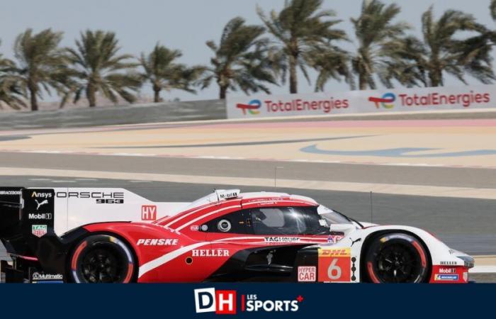 Laurens Vanthoor crowned FIA WEC 2024 world champion at Sakhir!