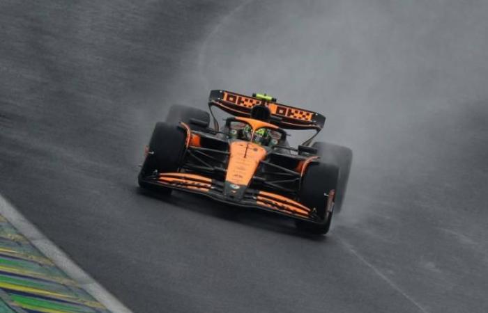 Lando Norris takes pole position for the Brazilian Grand Prix, Esteban Ocon on 2nd row