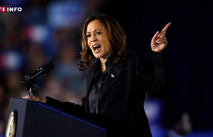 US presidential election: Harris’ campaign clip on women’s secret vote which pisses Trump off