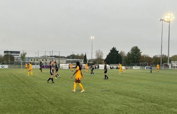 US Orléans footballers last in the championship after this setback against Rodez