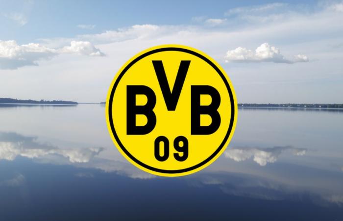 Borussia Dortmund GmbH share: Opportunities abound – 11/03/24 – News