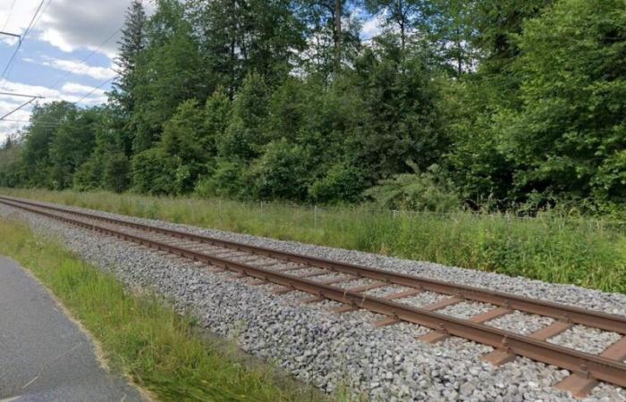 Lützelflüh-Goldbach train accident: Man hit by train on Maadweg