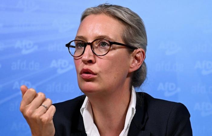 Military judge under Hitler: Explosive revelation about Weidel’s grandfather | policy