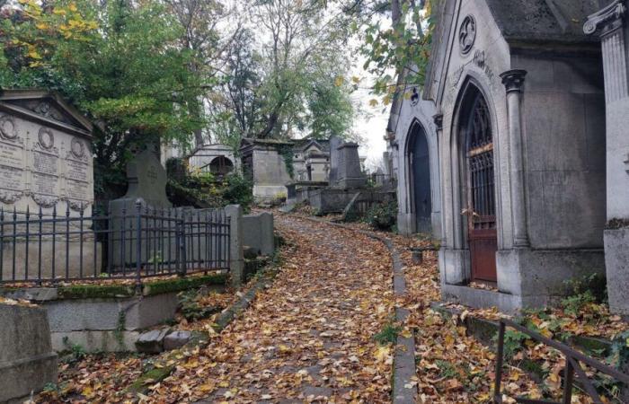 Legends, celebrities, unusual burials… Discover the secrets of Père-Lachaise in comics