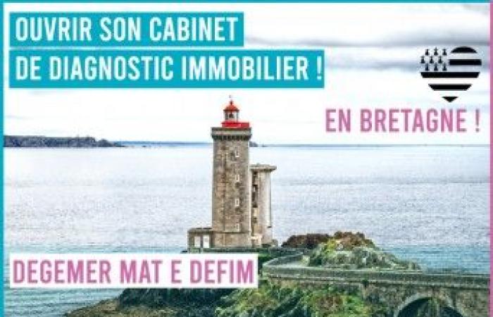 entrepreneurship opportunities to seize in Brittany