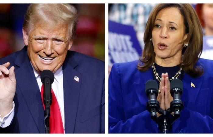 American presidential election: how long after election day will we know the results of the Harris-Trump duel?