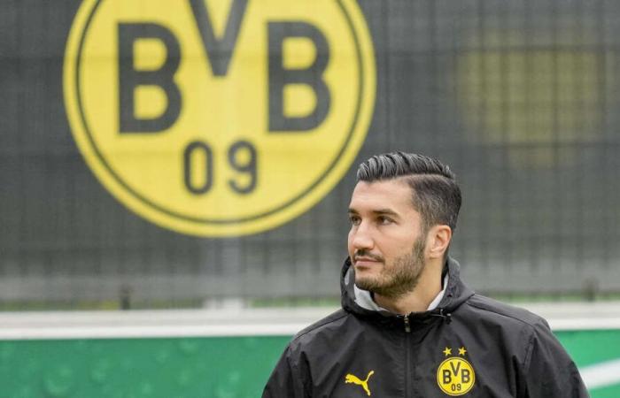 BVB deservedly beat RB Leipzig – next injury dampens the mood