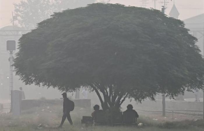 A city closes its schools due to excessive air pollution (photos)