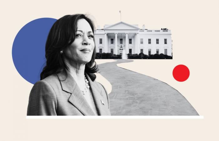 Harris’s Most Likely Path to Victory According to Pollsters, Strategists