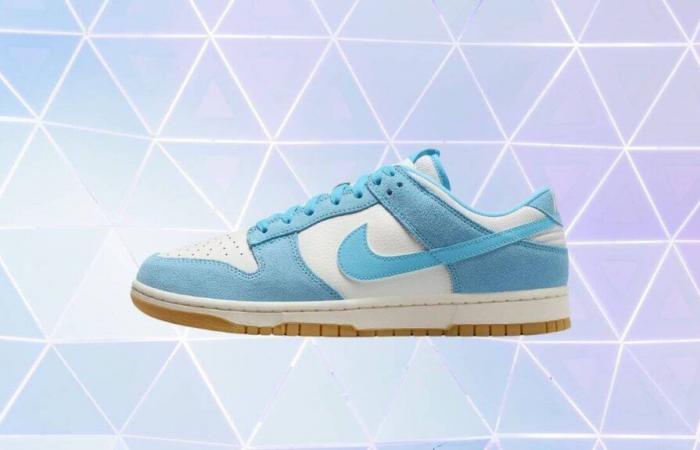 Nike is cracking down and offering this Dunk Low model at a price never before seen on its site (limited stock)