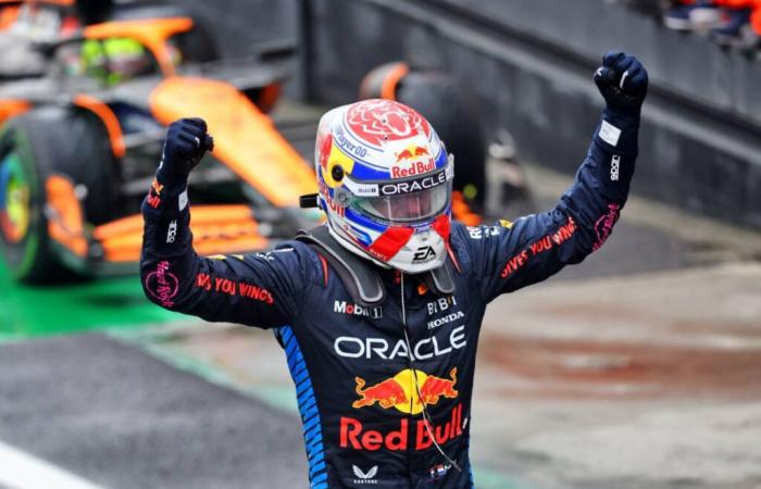 Max Verstappen triumphs ahead of the Alpine at the Brazilian Grand Prix