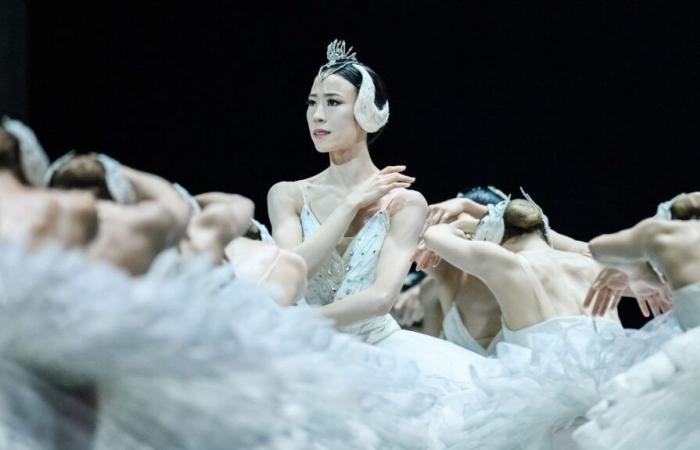 Paris Opera’s “Swan Lake” will be the world’s first ballet filmed and broadcast in IMAX