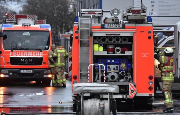 Impressive images of a train at Berlin station which burst into flames (photos)