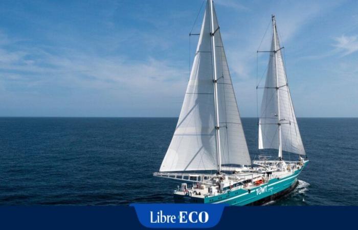 Transporting coffee by cargo sailboat, a much more ecological choice than conventional maritime transport, is now possible!