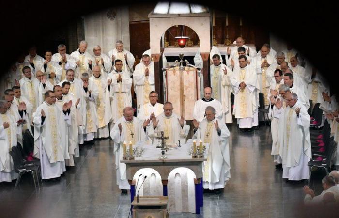 The bishops of France meet in plenary assembly in Lourdes, from November 5 to 10