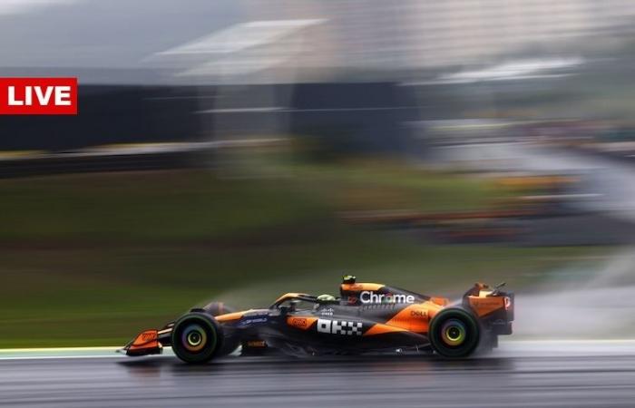 Live ticker GP in São Paulo: Lando Norris victory? / Formula 1