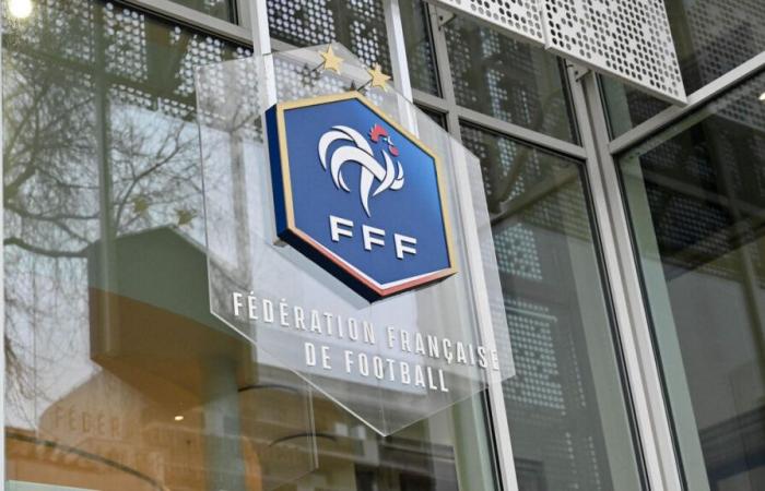 France-Israel: pro-Palestinian activists in the FFF premises to protest against the holding of the match