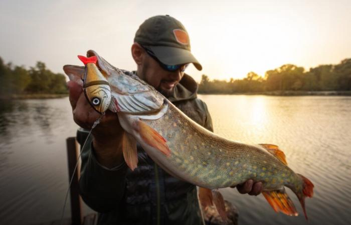 Record catch in Haute-Savoie, a 1.23 m pike