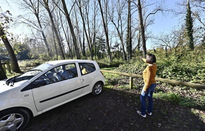 Video. Used underwear, condoms and handkerchiefs, violence, this Lot-et-Garonnaise lives with the “Bois de Boulogne” under her windows