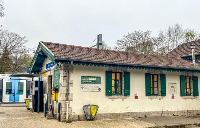 Aux Quais, the organic and local tea room which takes over the Étang-la-Ville station in Yvelines