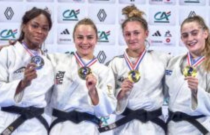 Seine-Saint-Denis at the top of French judo – Seine-Saint-Denis